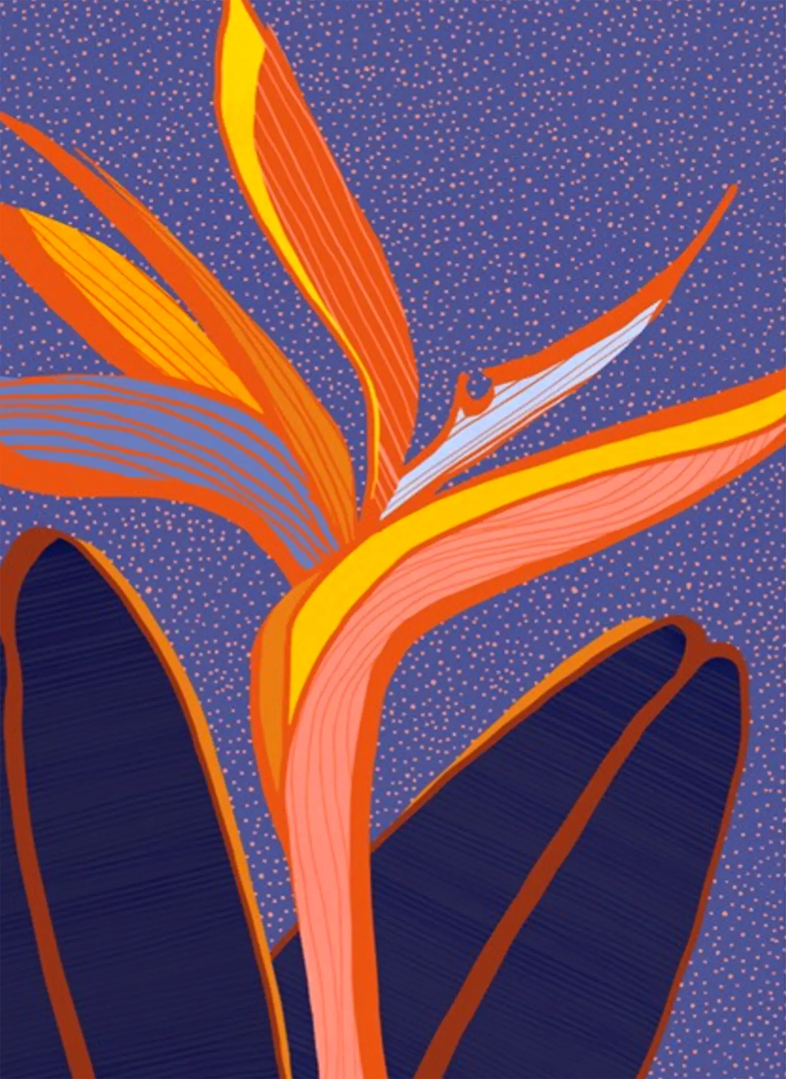 Digital Artwork Code 40