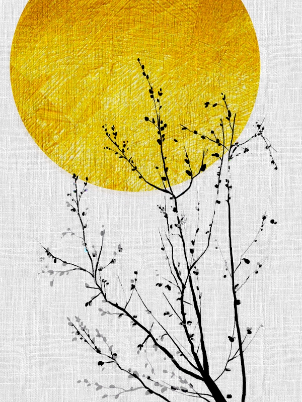 Digital Artwork code 13