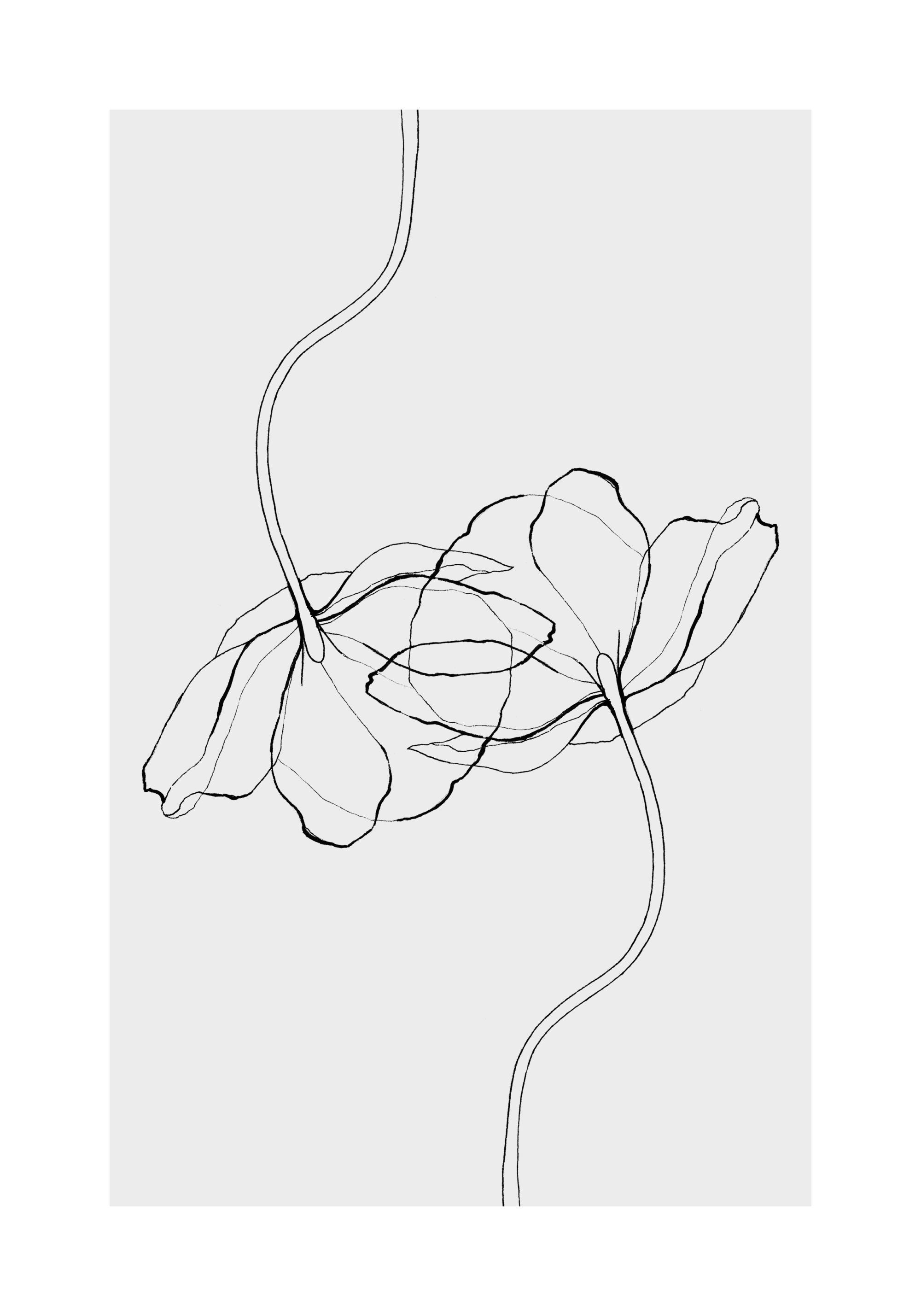 Line Art 04