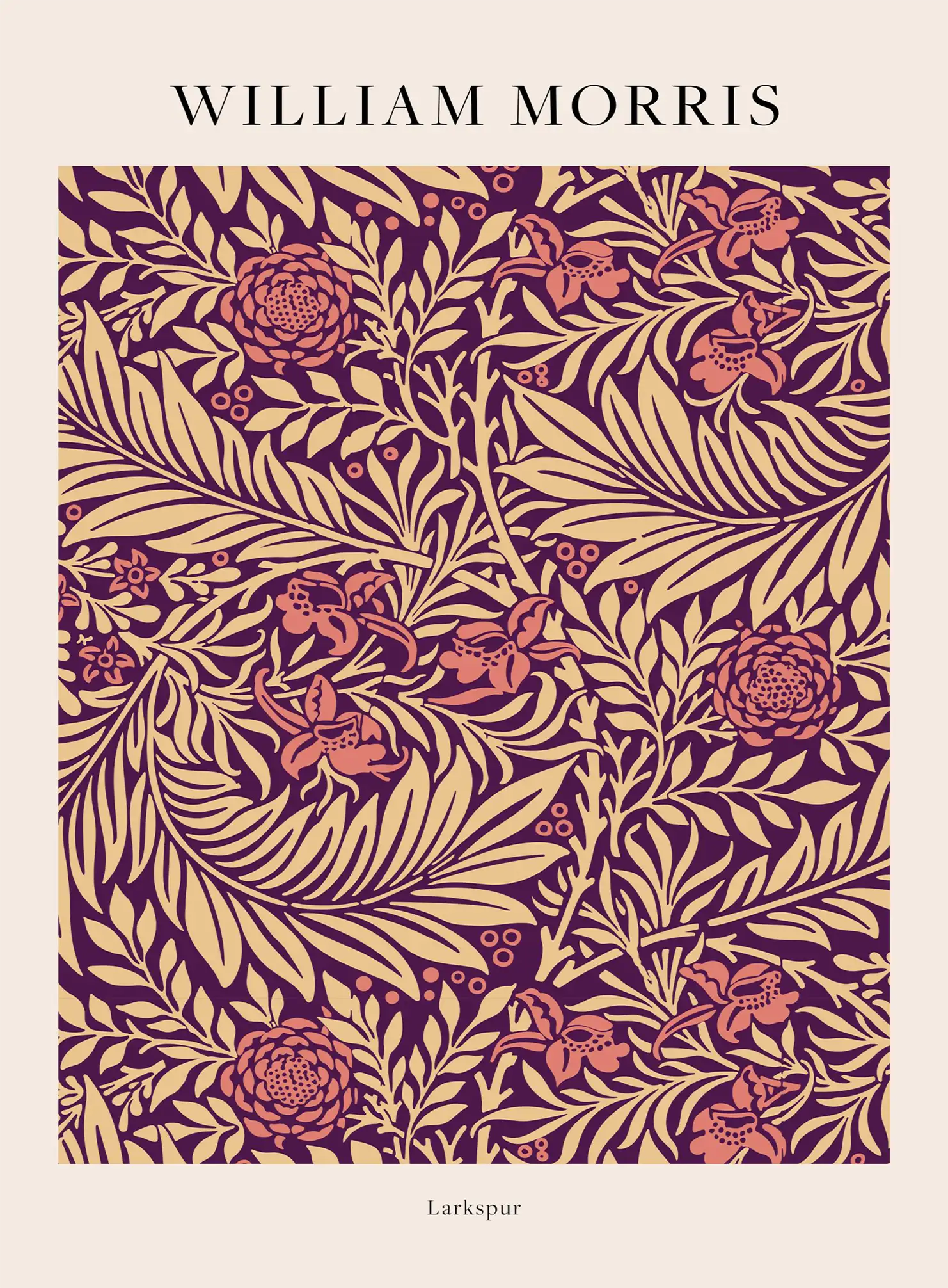 DMorris code 01