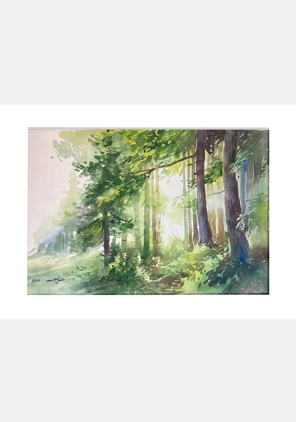 Pine forest c