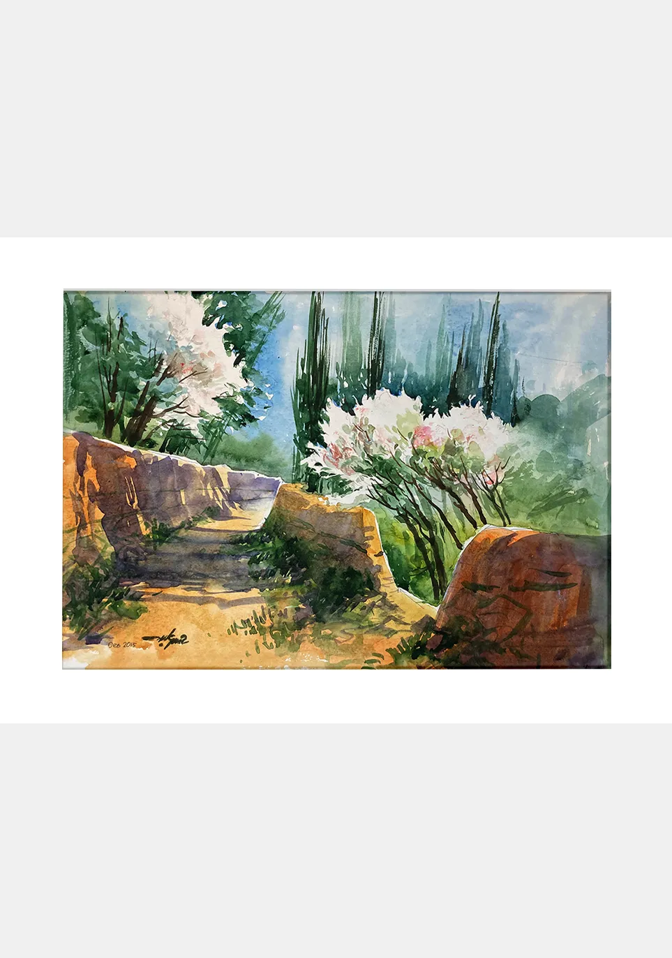 Spring blossoms
