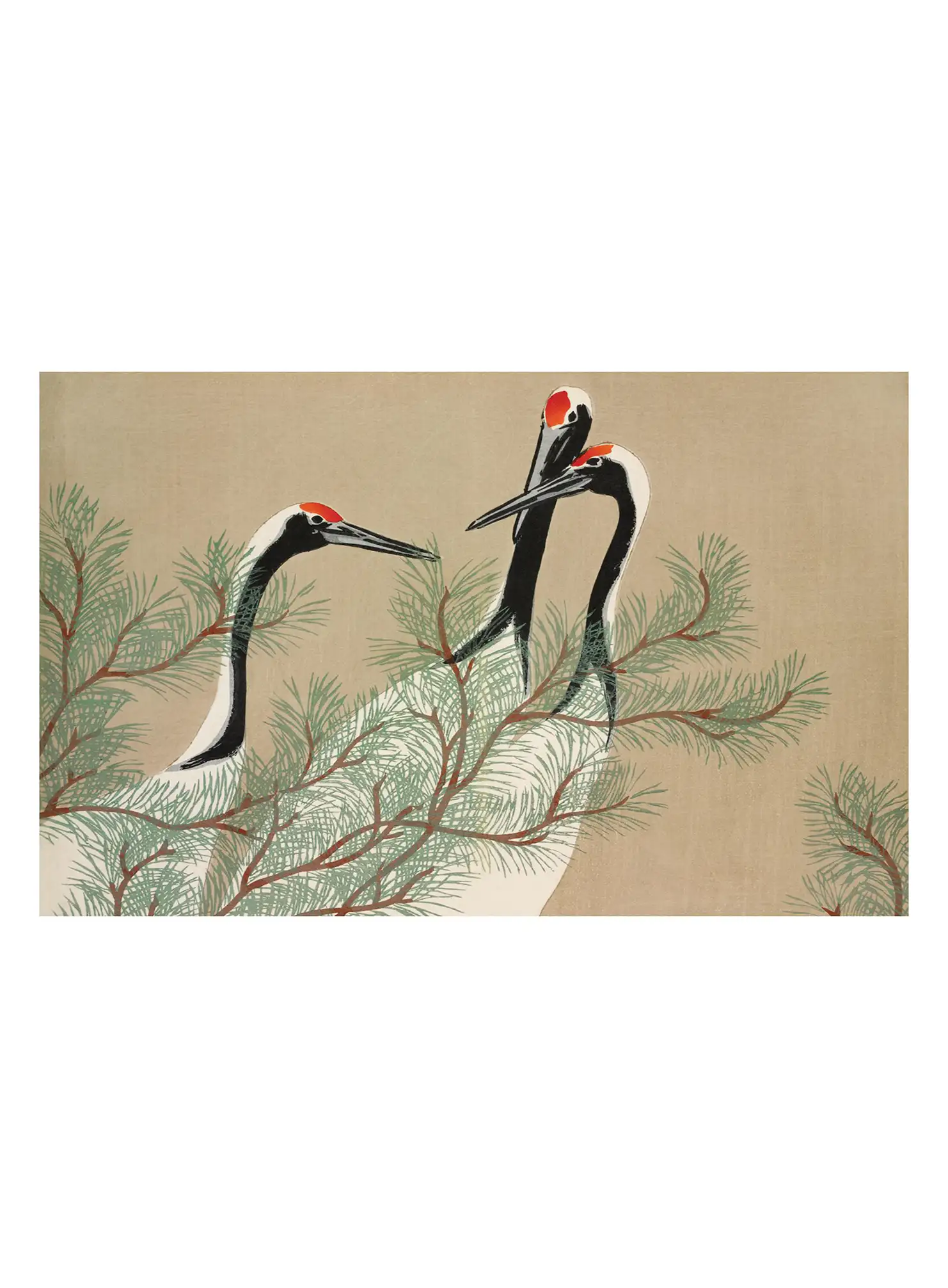 other artist code 19