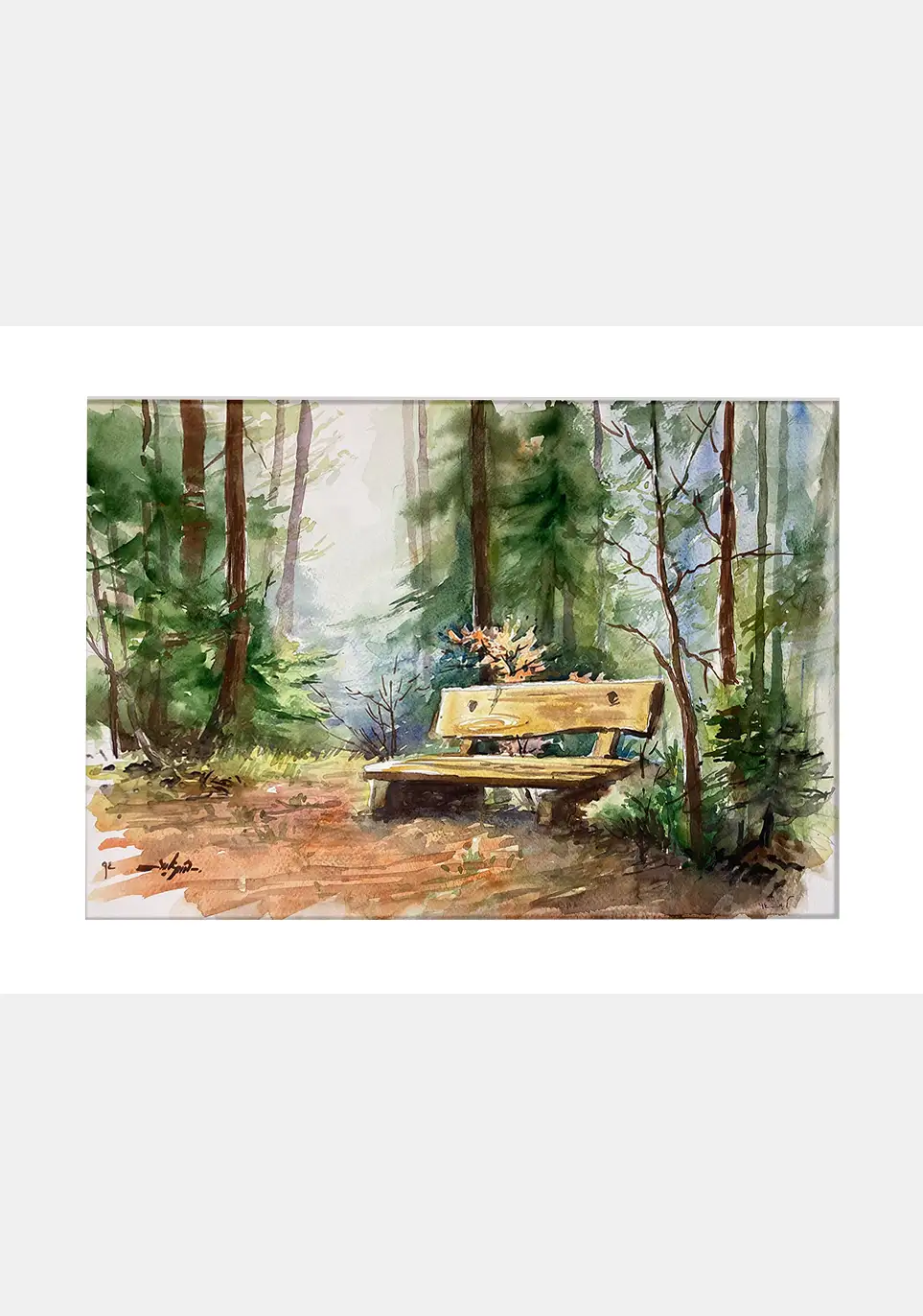Pine forest c
